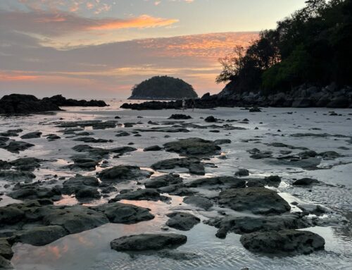 Phuket, Thailand: Pros and Cons