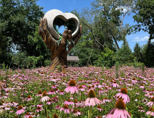 Your Guide to Northwest Arkansas
