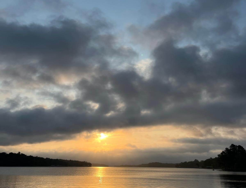Summer Vacation Destination – Kentucky Lake