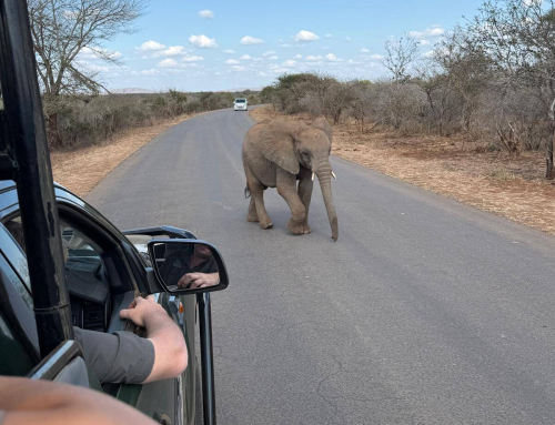 Kruger National Park